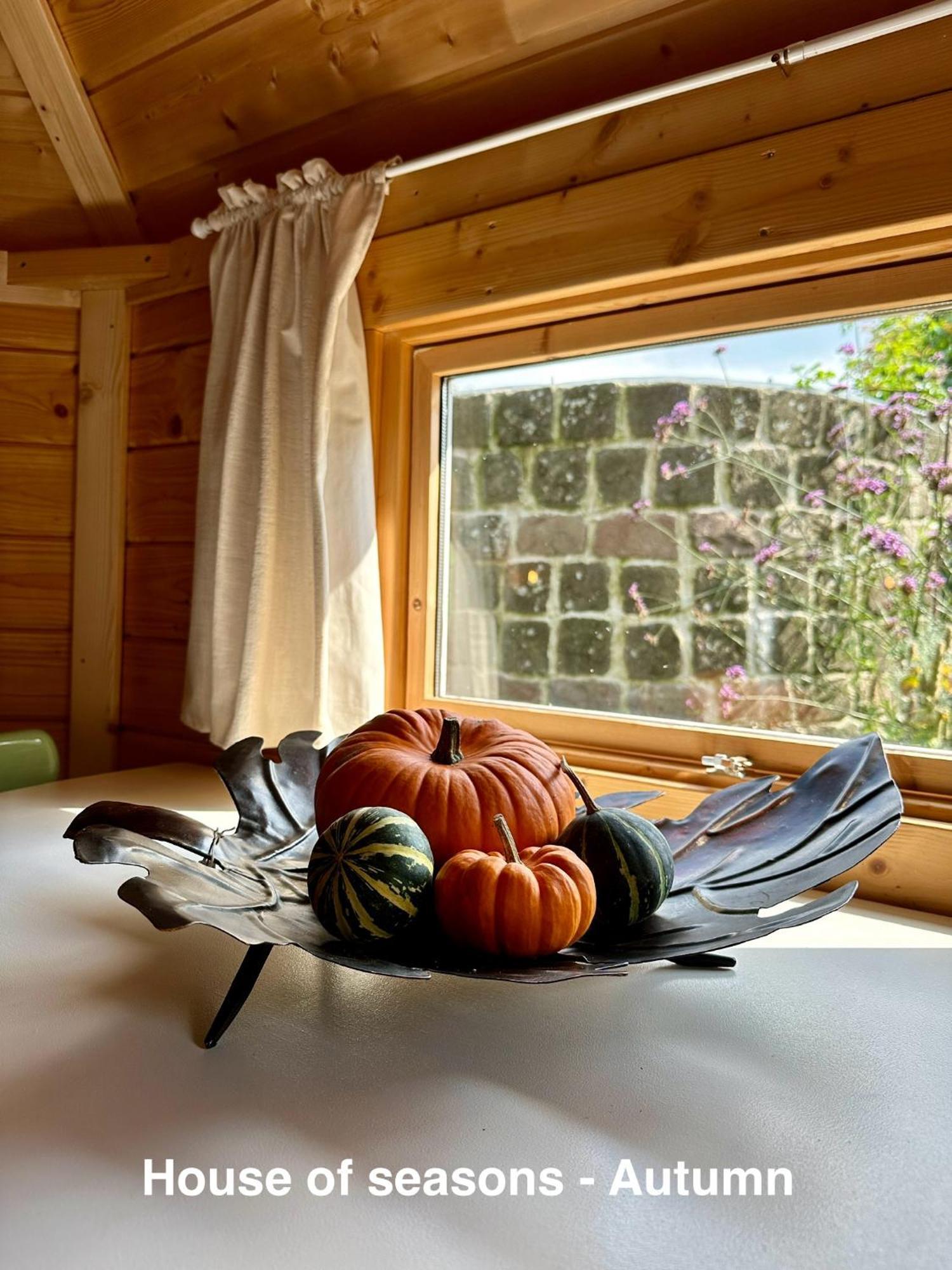 B&B Cosy Garden Alblasserdam Szoba fotó