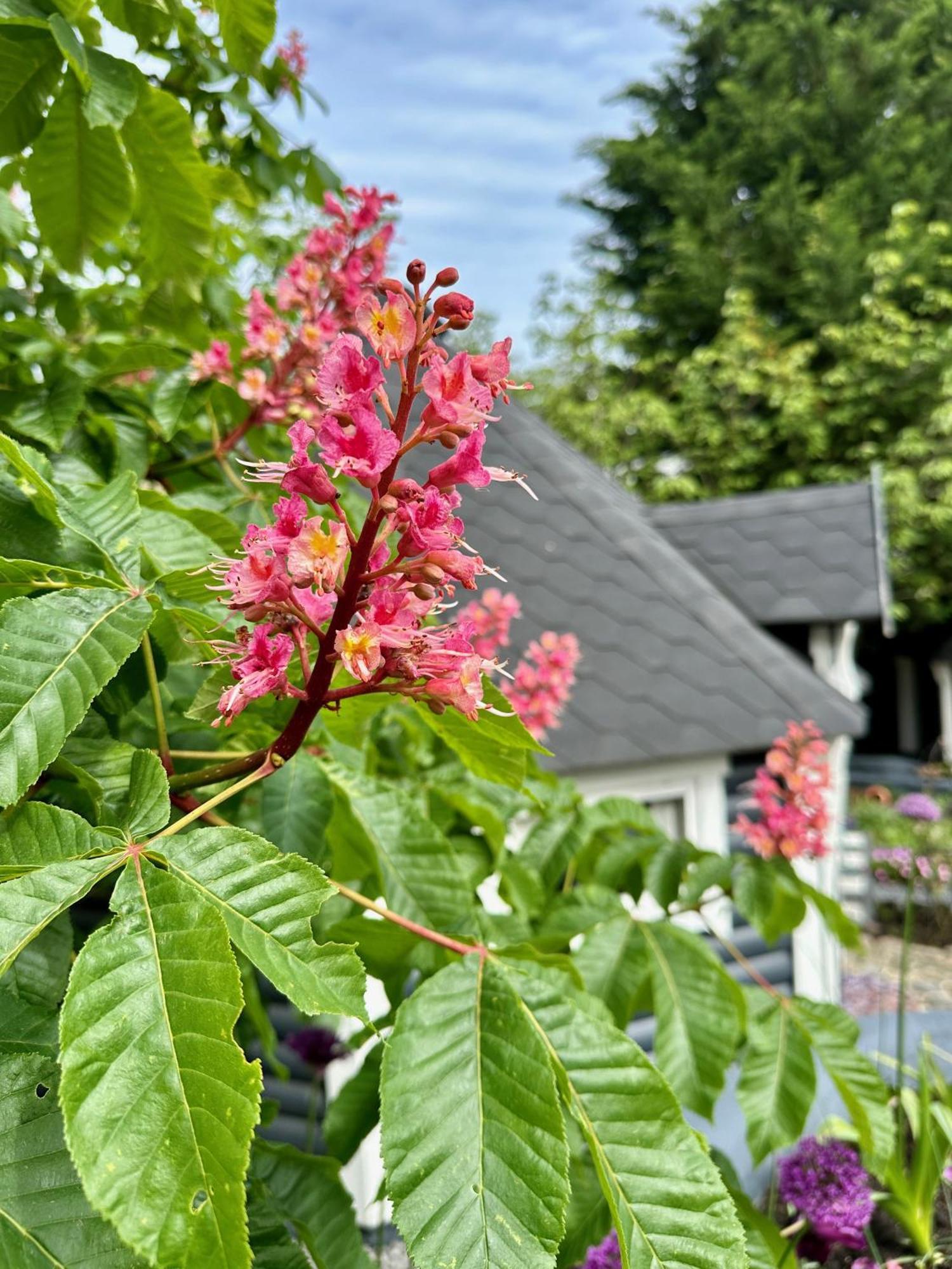 B&B Cosy Garden Alblasserdam Kültér fotó